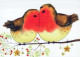 VOGEL Tier Vintage Ansichtskarte Postkarte CPSM #PBR547.DE - Birds