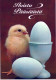 OSTERN HUHN EI Vintage Ansichtskarte Postkarte CPSM #PBP043.DE - Easter