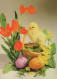 OSTERN HUHN EI Vintage Ansichtskarte Postkarte CPSM #PBP165.DE - Pâques