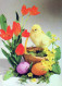 OSTERN HUHN EI Vintage Ansichtskarte Postkarte CPSM #PBP165.DE - Pascua