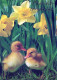 OSTERN EI Vintage Ansichtskarte Postkarte CPSM #PBO219.DE - Easter