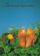 FIORI Vintage Cartolina CPSM #PBZ678.IT - Flowers