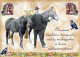 CAVALLO Animale Vintage Cartolina CPSM #PBR871.IT - Chevaux