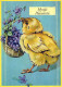 PASQUA POLLO UOVO Vintage Cartolina CPSM #PBP166.IT - Ostern