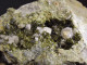 Delcampe - Epidote With Gypsum And Calcite ( 6 X 4 X 2 Cm.) - Senhora Da Luz  Quarry - Obidos - Leiria District - Portugal - Mineralen