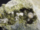 Delcampe - Epidote With Gypsum And Calcite ( 6 X 4 X 2 Cm.) - Senhora Da Luz  Quarry - Obidos - Leiria District - Portugal - Minerali