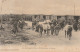 EP 23 -(51) AU CAMP DE CHALONS  - EMBARQUEMENT DE CHEVAUX   - TRAIN - MILITAIRES  - 2 SCANS - Camp De Châlons - Mourmelon