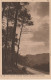 FI 6 - CARTE PUBLICITAIRE LABORATOIRES BADEL , VALENCE S / RHONE - GOUTTES BRONCHOPHILES - LEVER DE SOLEIL EN FORET (40) - Advertising