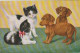 FI 9 -  COUPLES DE CHATONS ET CHIOTS , TECKELS   - ILLUSTRATION -  2 SCANS - Gatti