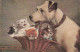 FI 10 - " EMBARRAS " - CHIEN TRANSPORTANT PANIERE DE CHATONS - ILLUSTRATEUR LEGRAND  -  2 SCANS - 1900-1949