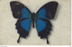 PAPILLON - PAPILIO TELEGONUS ( JAVA ) - Farfalle