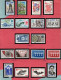 FRANCE - Collection De Timbres EUROPA Neuf** LUXE, De 1956 à 2005 Complète. Bas Prix, à Saisir. - Autres & Non Classés