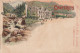 GU Nw -(65) CAUTERETS - CARTE LITHO PUBLICITAIRE : CHICOREE EXTRA " A LA BELLE JARDINIERE " , C. BERIOT A LILLE - Cauterets