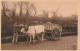 GU Nw -(64) TYPES BASQUES  -  ATTELAGE BASQUE -  PAYSAN AVEC SES BOEUFS - LABOUCHE FRERES , TOULOUSE  - 2 SCANS - Attelages