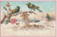 GU Nw - CARTE  PUBLICITAIRE GAUFREE " A LA BOTTE ROUGE " , EMILE LAGARDE , AGEN - ILLUSTRATION PAYSAGE ENNEIGE, OISEAUX  - Sonstige & Ohne Zuordnung