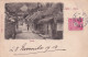 DE Nw27- HASSE , NARA - JAPAN - JAPON - ANIMATION - OBLITERATION 1904 - Other & Unclassified