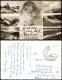 Ansichtskarte  Grüsse Von Den Nordsee Inseln (Mehrbild-AK U.a. Seehund) 1959 - Other & Unclassified