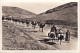 FI 30- ROUTE A JERICHO ( PALESTINE ) - ANIMATION - CARAVANE DE DROMADAIRES - Palestine