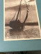 Carte Postale Postkaart Postcard Knocke Albert Strand Albert Plage - Knokke