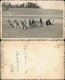 Ansichtskarte  Tiere - Hunde Schutzhund Ausbildung 1944 - Other & Unclassified