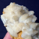 Delcampe - #B45 Schöne CALCIT  „Hundezahn“ Kristalle (San Giovanni Mine, Bindua, Iglesias, Sardinien, Italien) - Mineralen