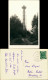 Ansichtskarte Saig Hochfirstturm Schwarzwald 1954  Gel. Landpoststempel - Andere & Zonder Classificatie