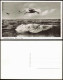 Ansichtskarte Borkum Nordseebad. Möwe Im Flug 1956 - Borkum