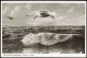 Ansichtskarte Wangerooge Meer / Strand Möwe über Den Wellen 1956 - Wangerooge