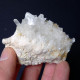 #C41 GIPS, COELESTIN Kristalle (Muculufa-Mine, Butera, Caltanissetta, Sizilien, Italien) - Mineralien