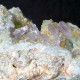 Delcampe - #C44 QUARZ Var. AMETHYST Kristalle (Capurru Quarry, Osilo, Sassari, Sardinien, Italien) - Minerales
