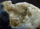 Gypsum Variety Selenite In Nodule ( 3.5 X 2 X 2 Cm.) - Alabaster Quarries - Fuentes De Ebro - Aragon - Espagne - Minéraux