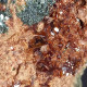Delcampe - #D56 - Schöner Granat Var. HESSONIT XX (Valle Della Gava, Italien) - Minerales