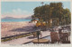 HO 20-(66) ARGELES SUR MER - PINS , PLAGE VUS DE LA TERRASSE DE L'HOTEL- AUTOMOBILE , CALECHE -CARTE COLORISEE -2 SCANS  - Argeles Sur Mer