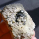 #L132 Seltene XANTHOPHYLLIT-Clintonit Kristalle (Lago Della Vacca, Breno, Brescia, Lombardei, Italien) - Minerals