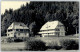 50976305 - Hinterzarten - Hinterzarten