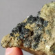 #N96 Seltene XANTHOPHYLLIT Clintonit XX (Lago Della Vacca, Breno, Brescia, Lombardei, Italien) - Minerals