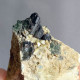 #O69 Seltene XANTHOPHYLLIT Clintonit Kristalle (Lago Della Vacca, Breno, Brescia, Lombardei, Italien) - Minerales