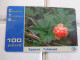 Russia Phonecard - Russie