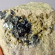 #O70 Seltene XANTHOPHYLLIT Clintonit, Fassait XX (Lago Della Vacca, Breno, Brescia, Lombardei, Italien) - Minerals