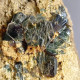 Delcampe - #O71 Seltene XANTHOPHYLLIT Clintonit XX (Lago Della Vacca, Breno, Brescia, Lombardei, Italien) - Minerales