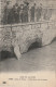 IN 27 -(75) PARIS 1910 - CRUE DE LA SEINE - JARDIN DES PLANTES - L'OURS BLANC CONTE SES PEINES - VISITEURS - 2 SCANS - Alluvioni Del 1910