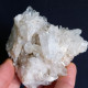 #U29 Schöne QUARZ XX (Castagnola, Val D'Aveto, Piacenza, Italien) - Mineralien