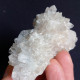 #U29 Schöne QUARZ XX (Castagnola, Val D'Aveto, Piacenza, Italien) - Minerales