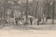 JA 20 -(78) PARC DE VERSAILLES - RESTAURANT DE LA FLOTILLE DU CANAL - ALLEE DE LA REINE -  2 SCANS - Versailles