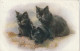 JA 26 -  TRIO DE CHATONS NOIRS SUR TRONC D' ARBRE - 2 SCANS - Cats