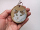 TURKISH VAN CAT (ANGORA) Hand Painted On A Natural Wood Decoration - Animaux