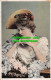R540334 Mary Mackenzie. A. And G. Taylor. Orthochrome Series - World