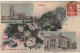 KO 8 -(81) " JE VOUS ENVOIE CES FLEURS D ' ALBI " - CARTE FANTAISIE MULTIVUES , COLORISEE   - 2 SCANS  - Albi