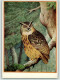 40164806 - .Uhu (Bubo Bubo), Verein Zum Schutze Der Alpenplanzen Und -Tiere E.V, Gute Erhaltung - Other & Unclassified