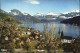 12614151 Weggis LU Panoramastrasse  Weggis - Other & Unclassified